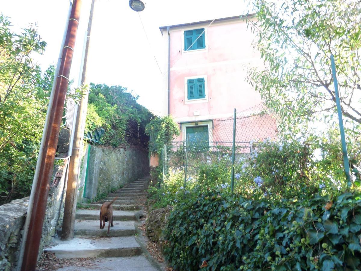 Portofino Mountain Unique Love Nest Сан-Рокко Экстерьер фото